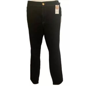 Lane Bryant Flex Signature Fit Mid Rise Skinny  28